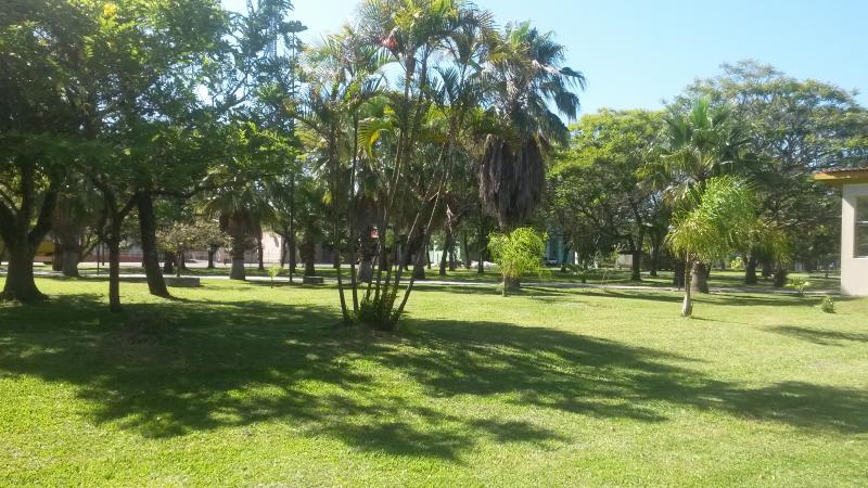 ADMINISTRAÇÃO MUNICIPAL FAZ MUTIRÃO DE LIMPEZA NA PRAÇA BORGES DE MEDEIROS