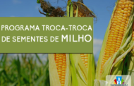 SECRETARIA DE DESENVOLVIMENTO AGROPECUÁRIO ABRE INSCRIÇÕES PARA O PROGRAMA TROCA-TROCA DE SEMENTES DE MILHO