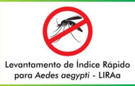 VIGILÂNCIA EM SAÚDE REALIZARÁ LEVANTAMENTO DE ÍNDICE RÁPIDO DO Aedes aegypti (LIRAa)