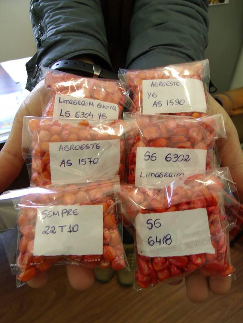 Programa Troca-troca começa segunda em São Vicente