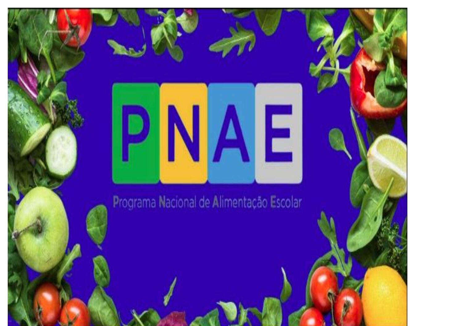 CHAMADA PÚBLICA Nº 001/2026 – Objeto: Chamada Pública para aquisição de alimentos diretamente da agricultura familiar e do empreendedor familiar rural, destinados ao atendimento do cardápio da alimentação escolar, conforme as diretrizes estabelecidas pelo Programa Nacional de Alimentação Escolar – PNAE